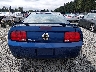 1ZVHT82HX65****** Usados 2006 Ford Mustang