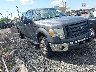 1FTFW1E82AF****** Salvage and Wrecked 2010 Ford F-150 in Avenel New Jersey