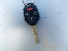 JF2SH6ACXAG****** Salvage 2010 Subaru Forester in Hawaii State