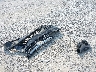 5FNRL6H78LB****** Wrecked 2020 Honda Odyssey in Florida State