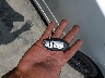 1N4AL3AP8FC****** Salvage 2015 Nissan Altima in Georgia State