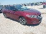 1N4AA6AP8GC****** Salvamento y Destrozados 2016 Nissan Maxima en Fort Worth North