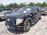1FTPX14V59K****** Salvage and Repairable 2009 Ford F-150 in South Carolina State