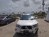 2T2ZK1BA9FC****** Destrozados 2015 Lexus RX 350 en Estado de Texas