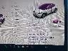 5YJYGDEEXMF****** Salvage 2021 Tesla Model Y in New Castle