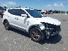 5NMZU3LB9HH****** Salvage and Wrecked 2017 Hyundai Santa Fe in Clearwater