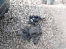 1GNSKMKT3MR****** Wrecked 2021 Chevrolet Tahoe in Ohio State