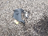 5FNRL6H77NB****** Wrecked 2022 Honda Odyssey in South Carolina State