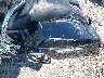 1HD1KBC15LB****** Destrozados 2020 Harley-Davidson FLHXS