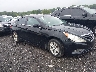 5NPEB4AC4DH****** Salvage and Wrecked 2013 Hyundai Sonata in Greenville