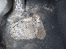 4T1BF1FK3CU****** Wrecked 2012 Toyota Camry in New York State