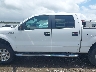 1FTFW1EF0DK****** Salvage 2013 Ford F-150