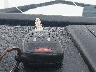 1C4BJWEG0FL****** Salvage 2015 Jeep Wrangler in Mississippi State