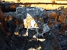 1N6ED1EK4PN****** Salvamento 2023 Nissan Frontier en Sayreville