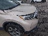5J6RW1H84KL****** Salvage and Wrecked 2019 Honda CR-V in Charleston
