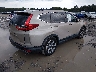 5J6RW1H84KL****** Salvage and Wrecked 2019 Honda CR-V in South Carolina State