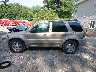 1FMYU94117K****** Salvamento 2007 Ford Escape