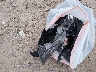 JA4AP4AUXLU****** Wrecked 2020 Mitsubishi Outlander in Wisconsin State