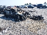 4T1K61AK9MU****** Salvamento y Destrozados 2021 Toyota Camry en Little Rock