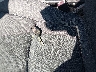 WMEEJ3BA7DK****** Salvage 2013 Smart Fortwo in Texas State