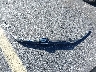 1HGCV1F16LA****** Wrecked 2020 Honda Accord in Florida State