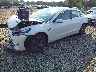 5YJ3E1EB8KF****** Used and Repairable 2019 Tesla Model 3 in Electric Vehicle Auctions