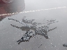 5FNYF8H05MB****** Wrecked 2021 Honda Passport in North Carolina State