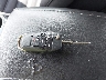 3FA6P0LUXDR****** Salvage 2013 Ford Fusion Hybrid in Indiana State