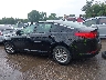 5XXGM4A74DG****** Salvage 2013 Kia Optima