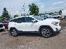 3GKALVEV2LL****** Used 2020 GMC Terrain in Michigan State