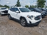 3GKALVEV2LL****** Salvage and Wrecked 2020 GMC Terrain in Detroit
