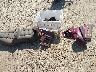 1HFSC1420HA****** Wrecked 1987 Honda GL1200 in Texas State