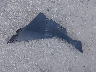 JS1EM13B4T7****** Wrecked 2026 Suzuki Gsx800 in Florida State
