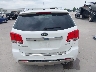 5XYKWDA21DG****** Wrecked 2013 Kia Sorento