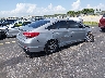 5NPE24AF5HH****** Salvage and Wrecked 2017 Hyundai Sonata in Florida State
