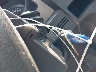 1FTRF12W59K****** Salvamento 2009 Ford F-150 en Estado de Texas