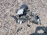 4S4BSBCC0F3****** Wrecked 2015 Subaru Outback in Montana State