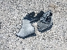 3N1AB8CV9LY****** Wrecked 2020 Nissan Sentra in New York State