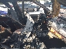 5UXFE83508L****** Used and Repairable 2008 BMW X5 in Florida State