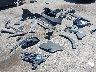 JN8BT3BBXSW****** Salvage and Wrecked 2025 Nissan Rogue in El Paso