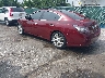 1N4AA5AP5DC****** Salvamento y Reparables 2013 Nissan Maxima en Baltimore