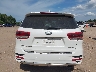 5XYPK4A55GG****** Wrecked 2016 Kia Sorento
