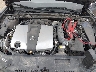 58ADZ1B14PU****** Repairable 2023 Lexus ES in Corpus Christi