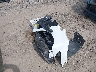 19XFB2F98FE****** Destrozados 2015 Honda Civic en Estado de Pennsylvania