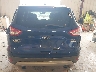 1FMCU0G96DU****** Wrecked 2013 Ford Escape