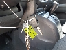 1J8FF28B79D****** Salvage 2009 Jeep Patriot in Texas State