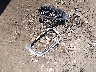 WBAET37444N****** Destrozados 2004 BMW 3 Series en Estado de California