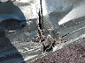 1N4AL21E58N****** Usados 2008 Nissan Altima en Fort Wayne