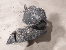 2HGFE2F51SH****** Wrecked 2025 Honda Civic in North Carolina State