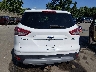 1FMCU9G96EU****** Destrozados 2014 Ford Escape